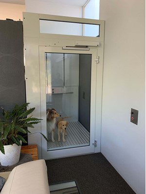 zzed-lift-solutions-plaatste-een-maatwerklift-ascendor-pl20-te-opoeteren  zzed-lift-solutions-plaatste-een-maatwerklift-ascendor-pl20-te-opoeteren